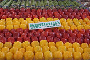 着力打造农业品牌，全力促进农民增收——我市积极参展2014年中国（海南）国际热带农产品冬季交易会