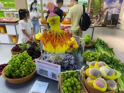 衡东优质农产品长沙推介周启动 绿色风味引燃星城市场